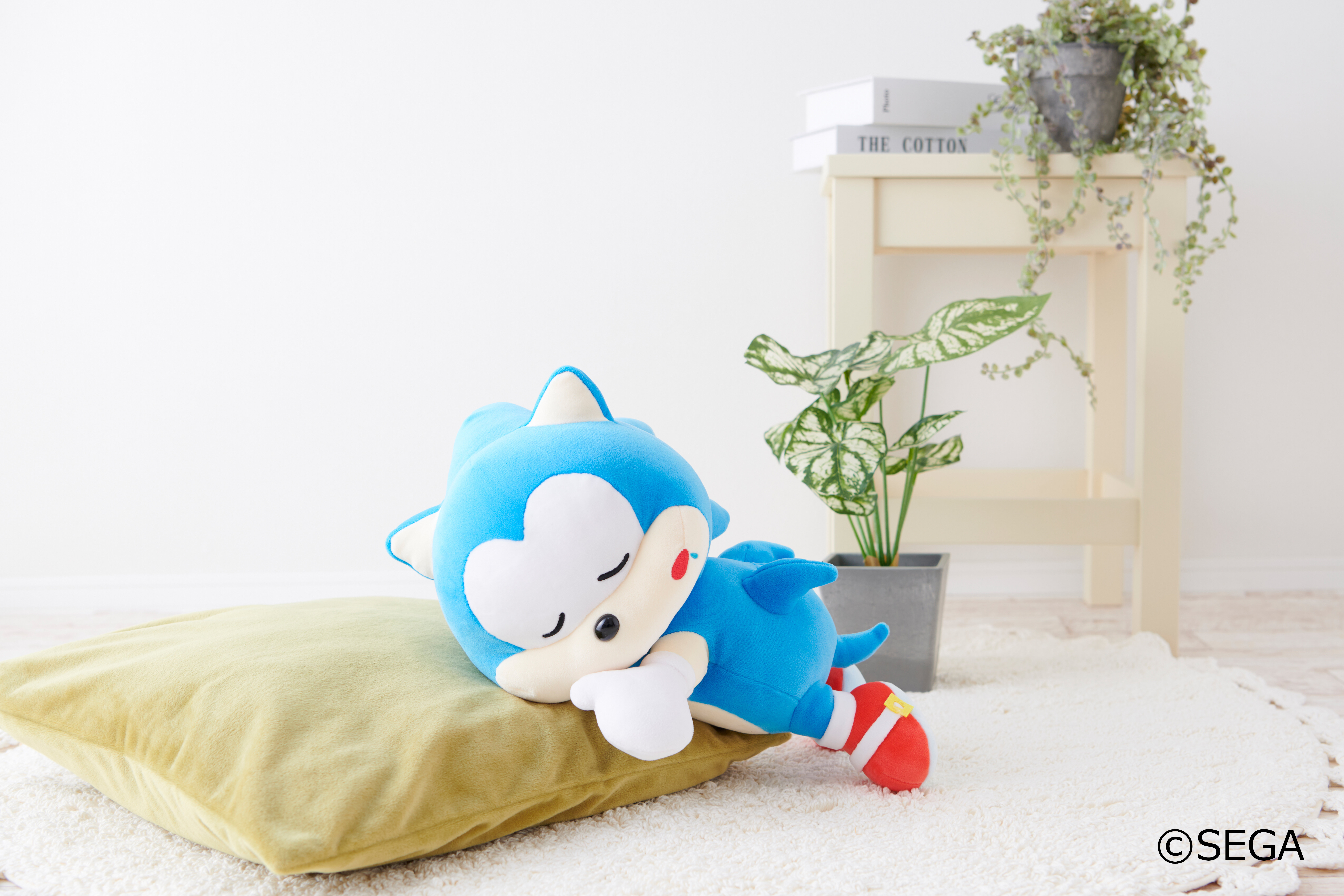 SONIC & FRIENDS もちふわおやすみぬいぐるみ ソニック | ソニック